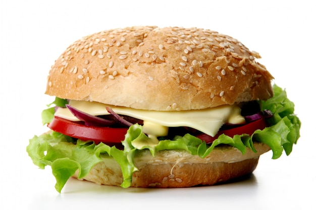 Free photo a fresh hamburger with salad and onion