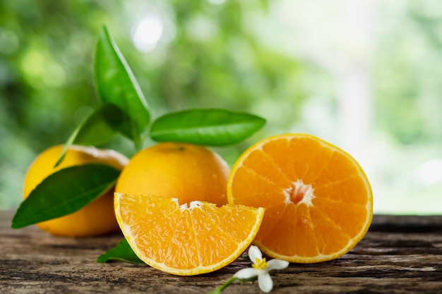 Fresh juicy orange fruit set over green nature  