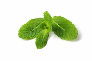 Free photo fresh mint leaves isolated