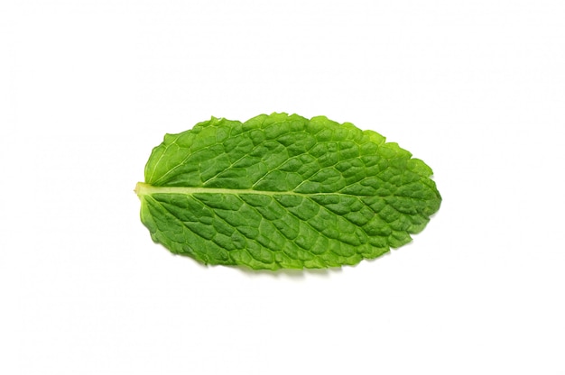 Fresh mint leaves isolated