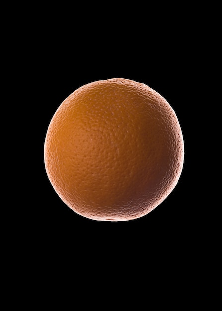 Fresh orange fruit isolated over black