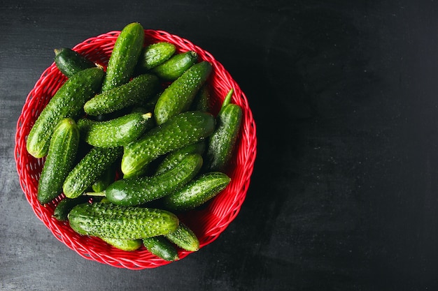 Fresh organic cucumbers in red basket on white wooden table with green and red and chili peppers, fennel, salt, black peppercorns, garlic, pea, close up, healthy concept, top view, flat lay