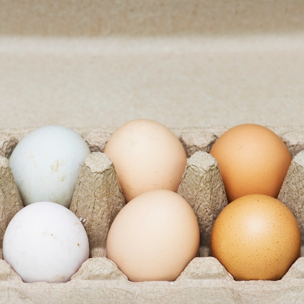 Free photo fresh organic eggs