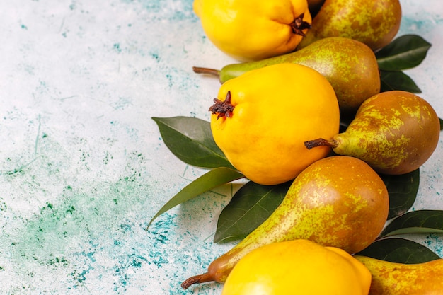 Fresh organic farm fruits, pears, quince, top view