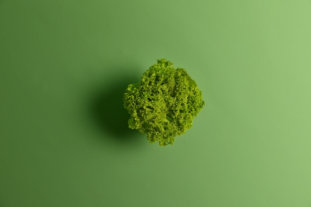 Fresh organic lettuce salad leaves on green vibrant background. Selective focus, top view and copy space. Proper healthy dietary nutrition and food concept. Vegetarian cuisine and vegetables