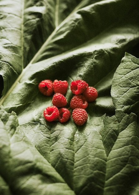 Free photo fresh organic raspberries on green leaf flatlay