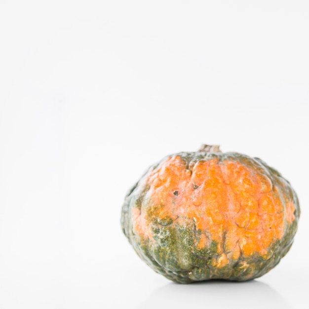 Fresh organic squash on white backdrop