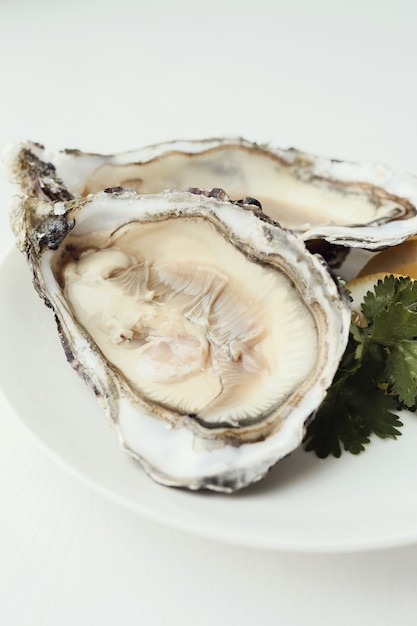 Free photo fresh oyster with lemon on a plate