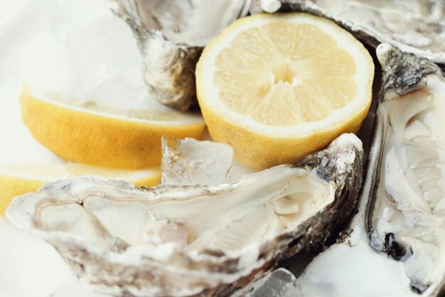 fresh oyster with lemon on a plate