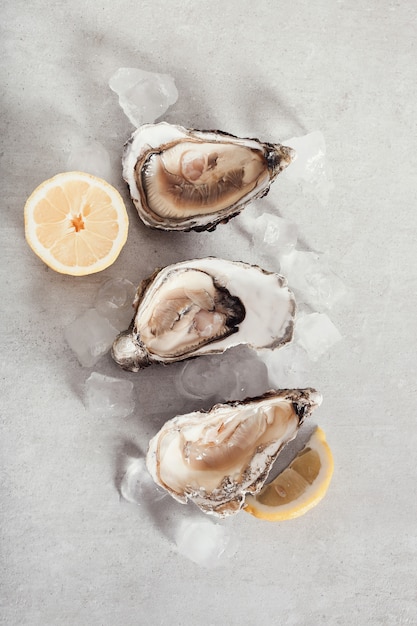 Free photo fresh oyster with lemon