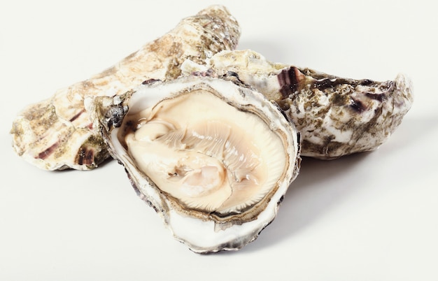 fresh oyster