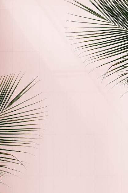 Fresh palm leaves on pink background