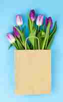 Free photo fresh purple tulip flowers in brown paper over blue surface