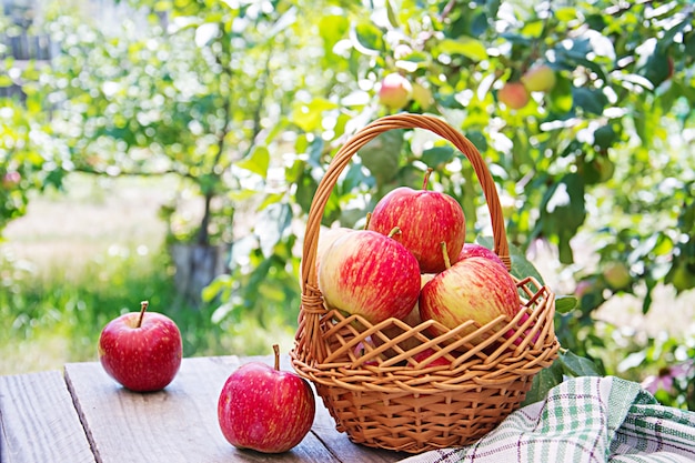 Free photo fresh red apples in a basket on a table in a summer garden