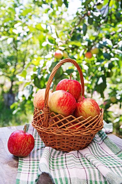 Free photo fresh red apples in a basket on a table in a summer garden