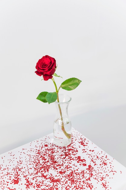 Fresh red bloom in vase between confetti on table