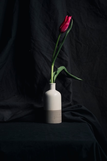 Fresh red flower in vase