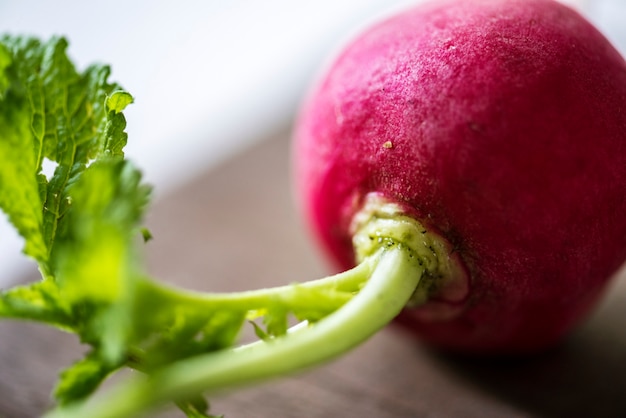 Free Photo fresh red radish vegetable