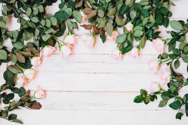 Fresh roses on table