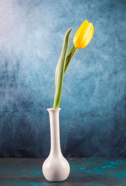 Free photo fresh single tulip placed in elegant vase