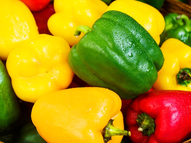 Fresh sweet bell peppers