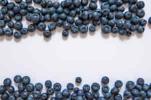 Free photo fresh sweet blueberry fruit and mint leaf with copy space. dessert healthy food. group of ripe blue juicy organic berries. for web site, banner design. isolated on white background.