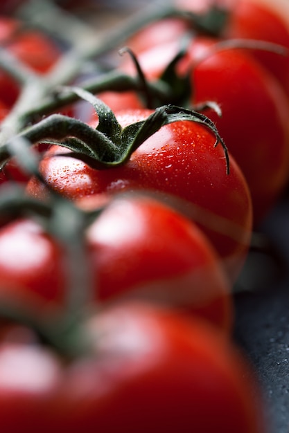 Fresh tomatoes on a branch