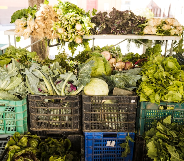 Free Photo fresh vegetable packed in plastic crate at grocery store