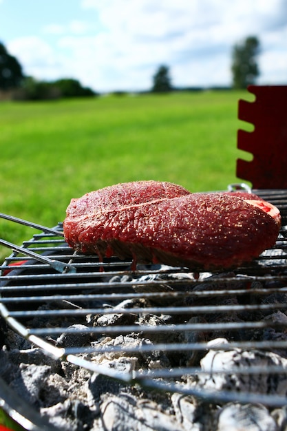 Fresh and very tasty steak