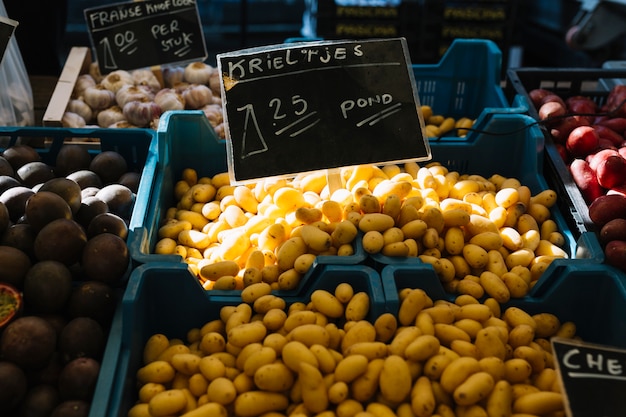 Free Photo freshly harvested dutch seed potatoes (krieltjes) in blue crate