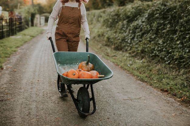 Free photo freshly harvested pumpkins in a wheelbarrow