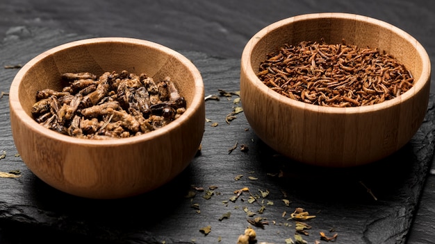 Fried insect in wooden bowls full shot