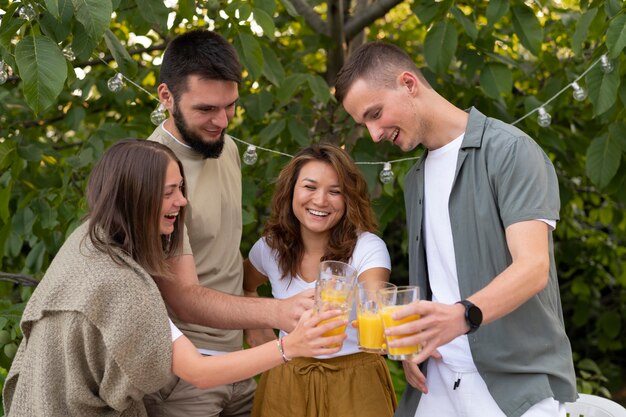 Friends clinking glasses medium shot