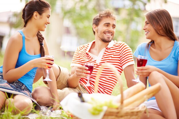 Friends enjoying picnic in countryside