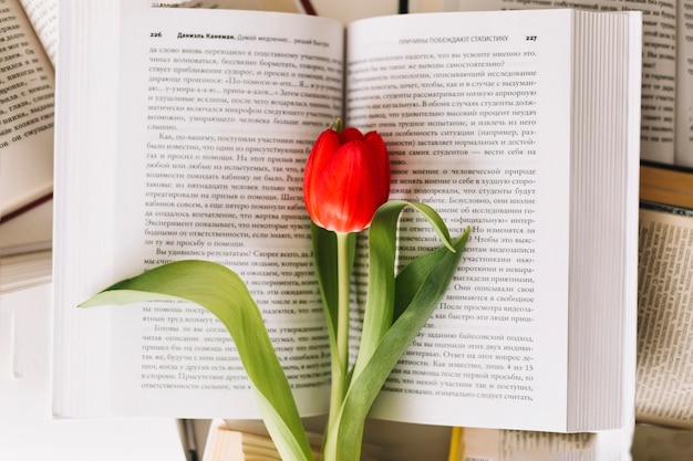 From above tulip on book