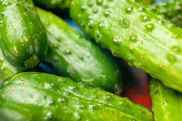 Front close view fresh green cucumbers on blue background meal salad health ripe food diet color photo