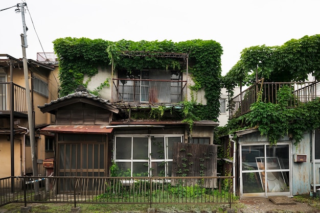 Front view abandoned house with plants