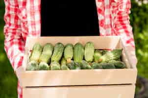 Free photo front view basket filled with cucumbers