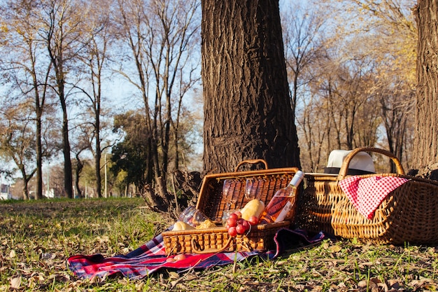 Front view beautiful picnic arrangement