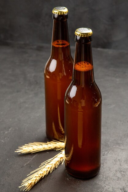 Front view bottles of bear on the dark background