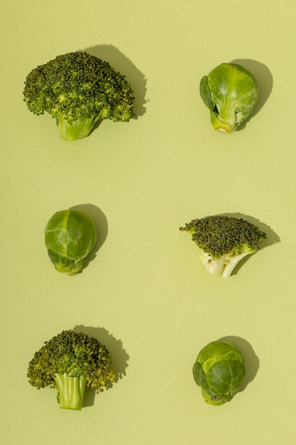 Free Photo front view of brussels sprouts and broccoli