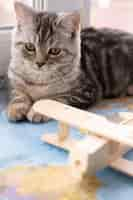 Free photo front view cat and blurred air plane toy