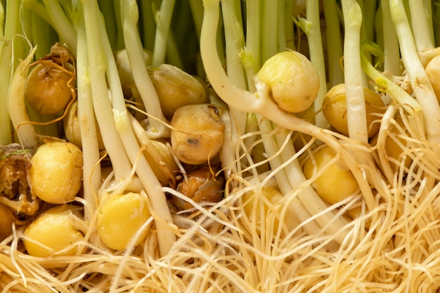 Free Photo front view of chickpeas