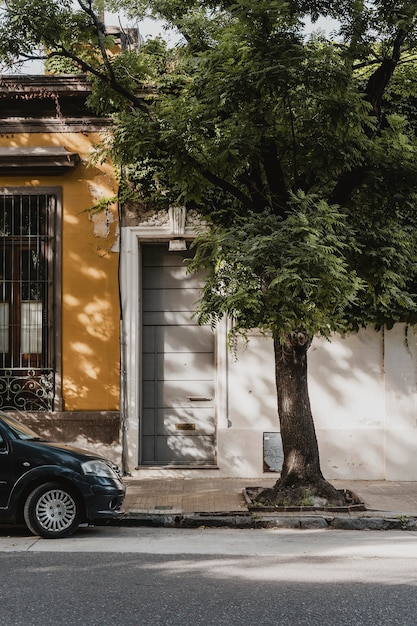 Front view of city house with car and tree