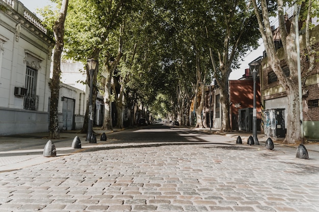 Free Photo front view of city street view with trees