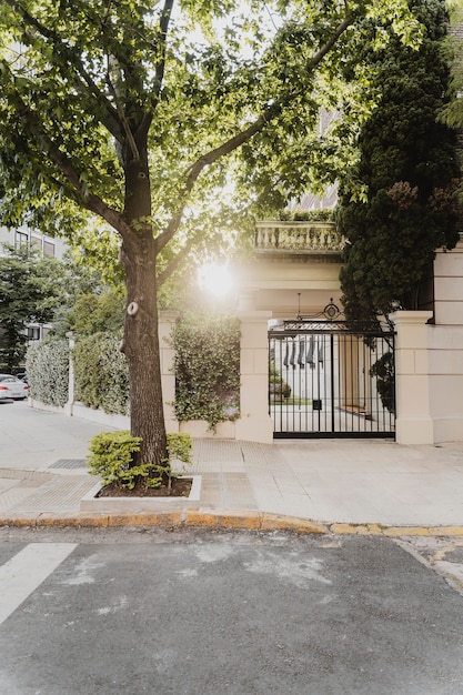 Front view of city street with tree and building entrance