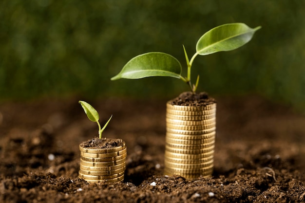 Free photo front view of coins stacked on dirt with plants