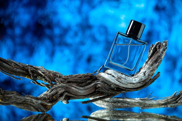 Front view of cologne bottle on rotten tree branch on blurred blue background