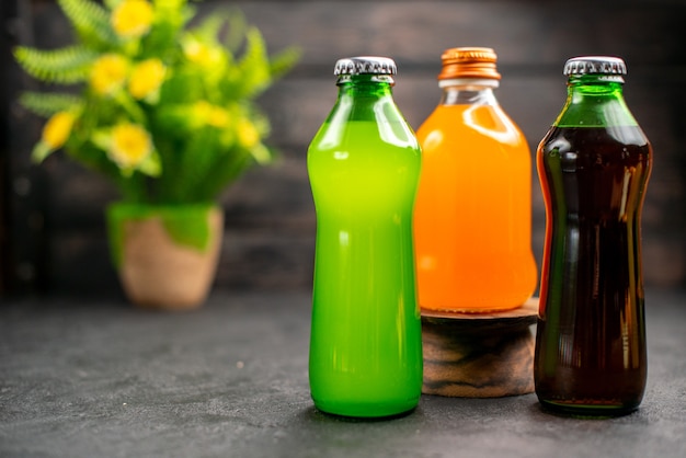 Front view colorful fruit juices and lemonades potted plant