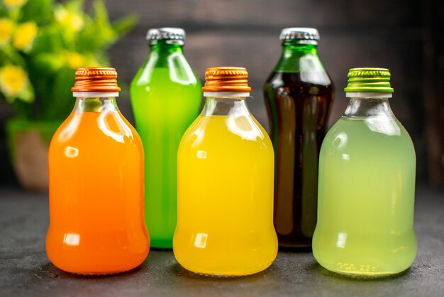 Front view colorful fruit juices and potted plant